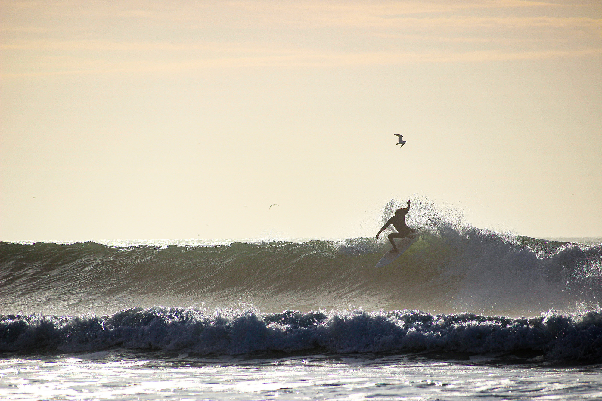 Just Surf in Essaouira 4
