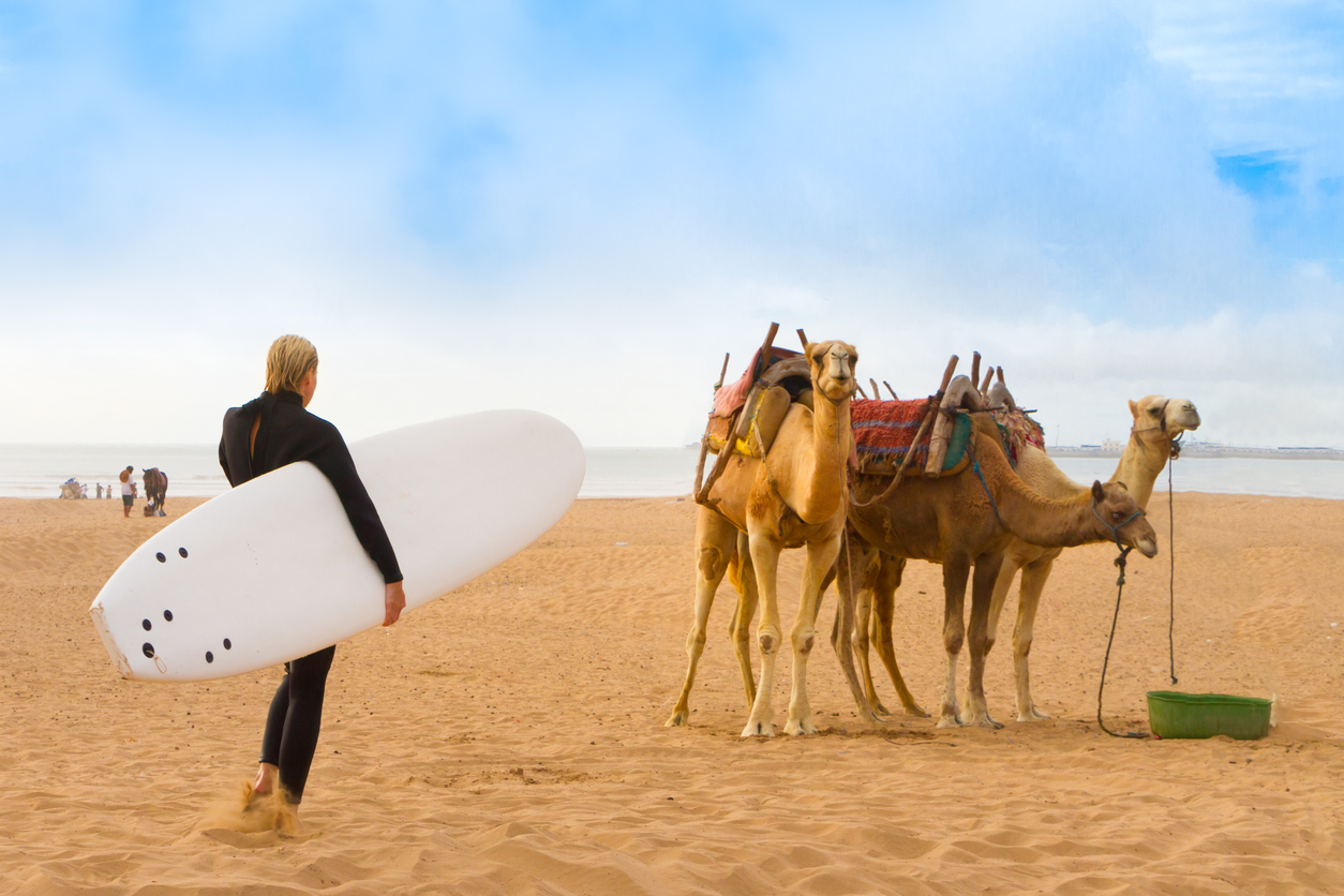 Just Surf in Essaouira 5
