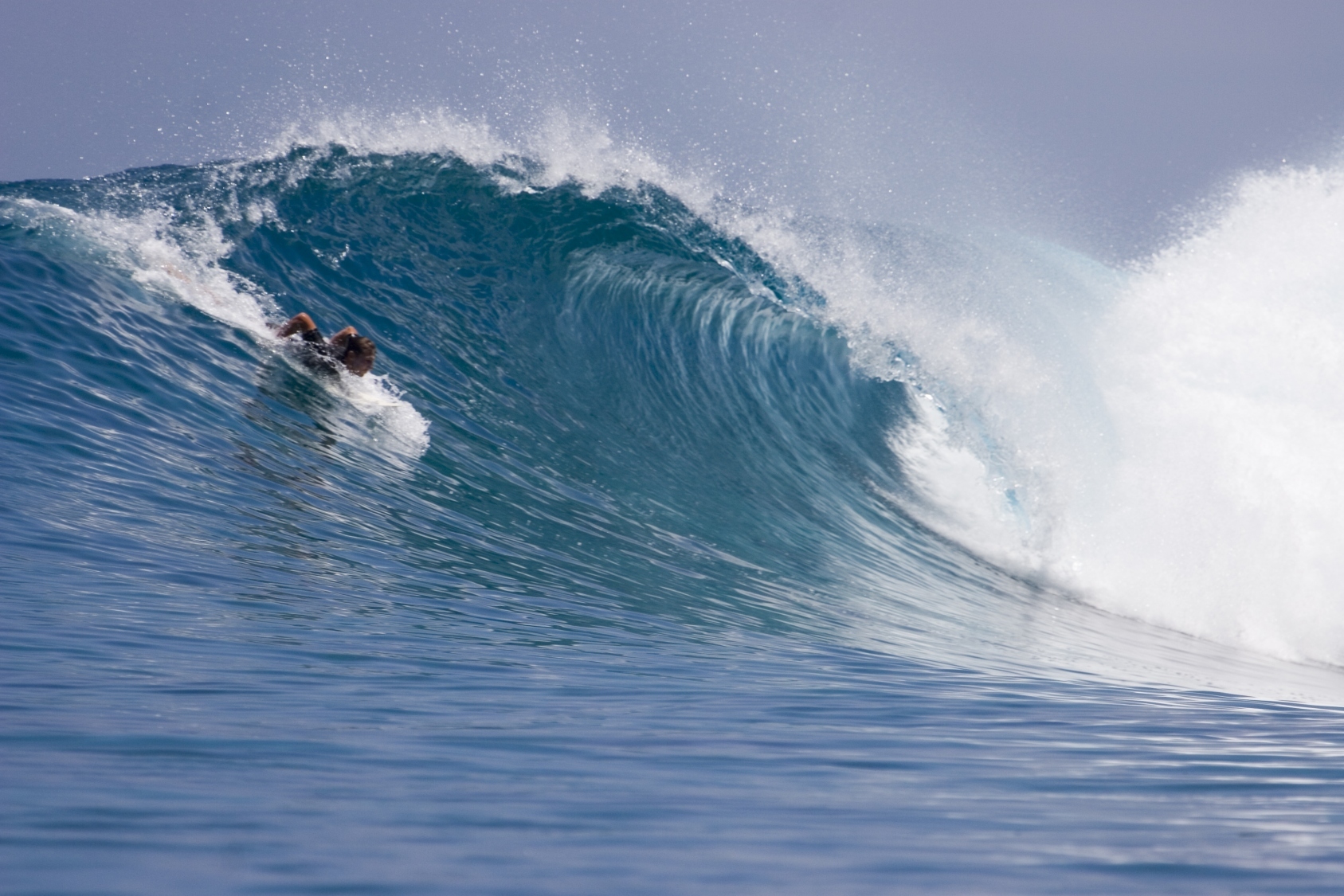 Surf the Maldives with Ben Gravy 6