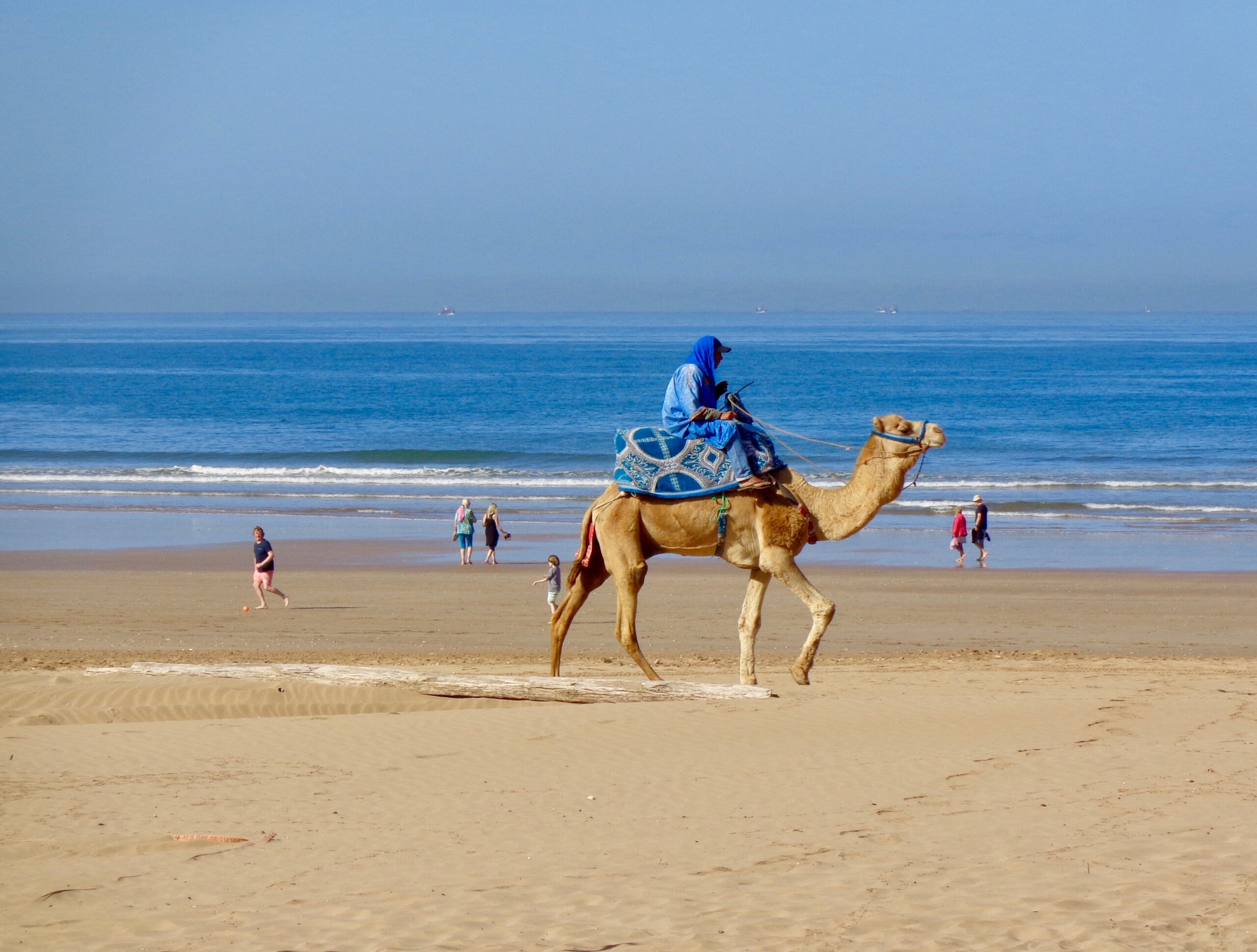 Just Surf in Essaouira 8