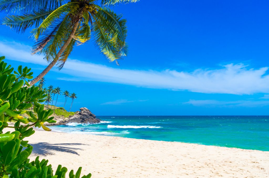 Tropical-beach-in-Sri-Lanka