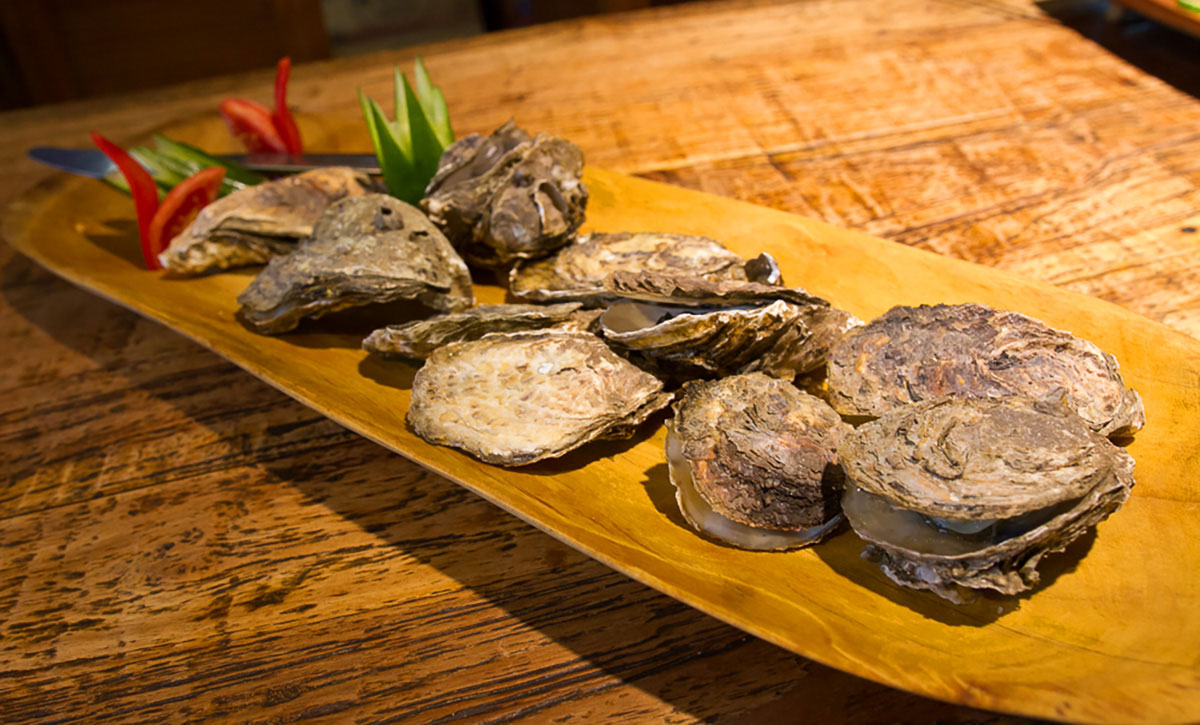 Oysters