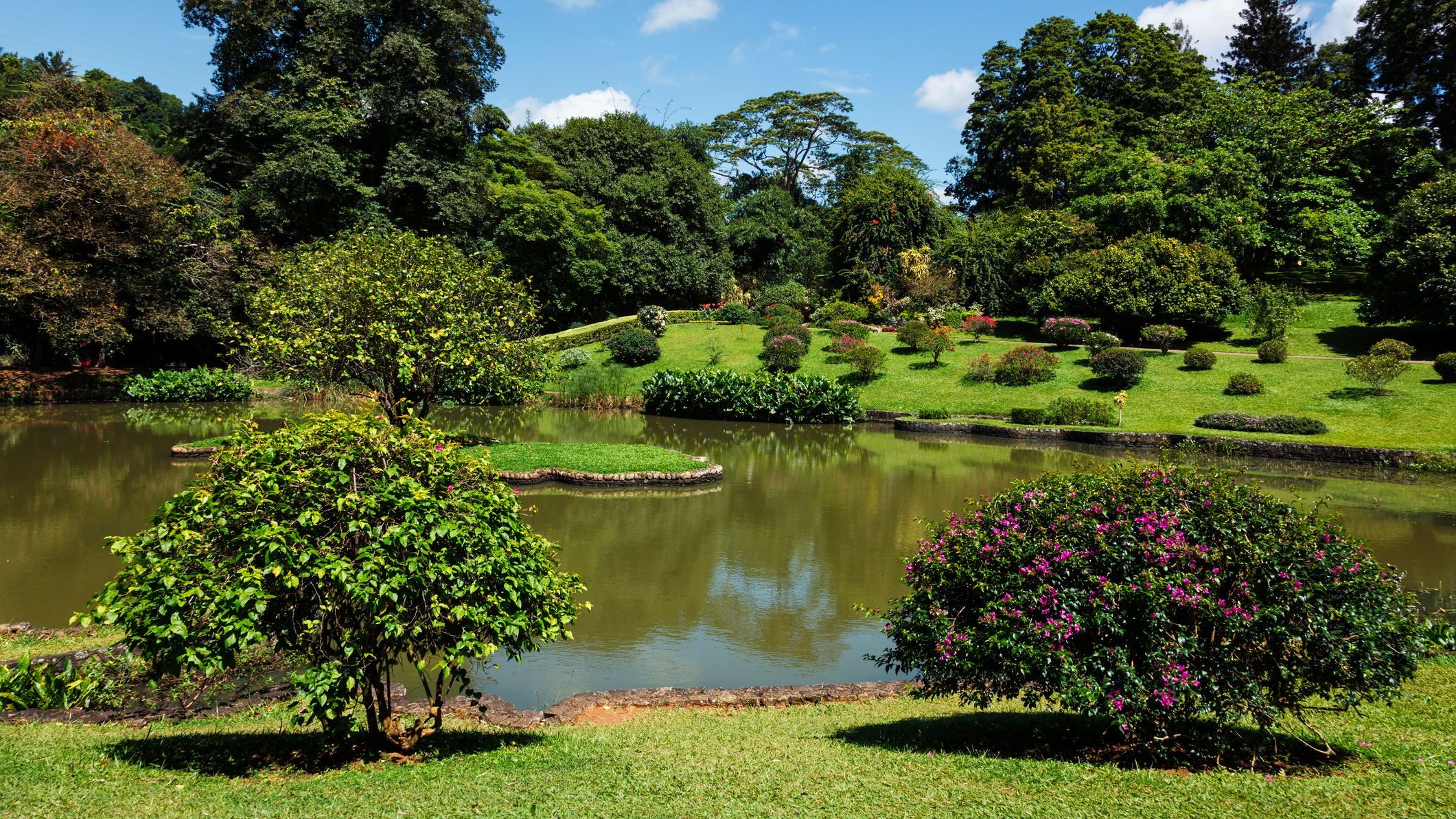 Peradeniya Royal Botanical Gardens in Kandy