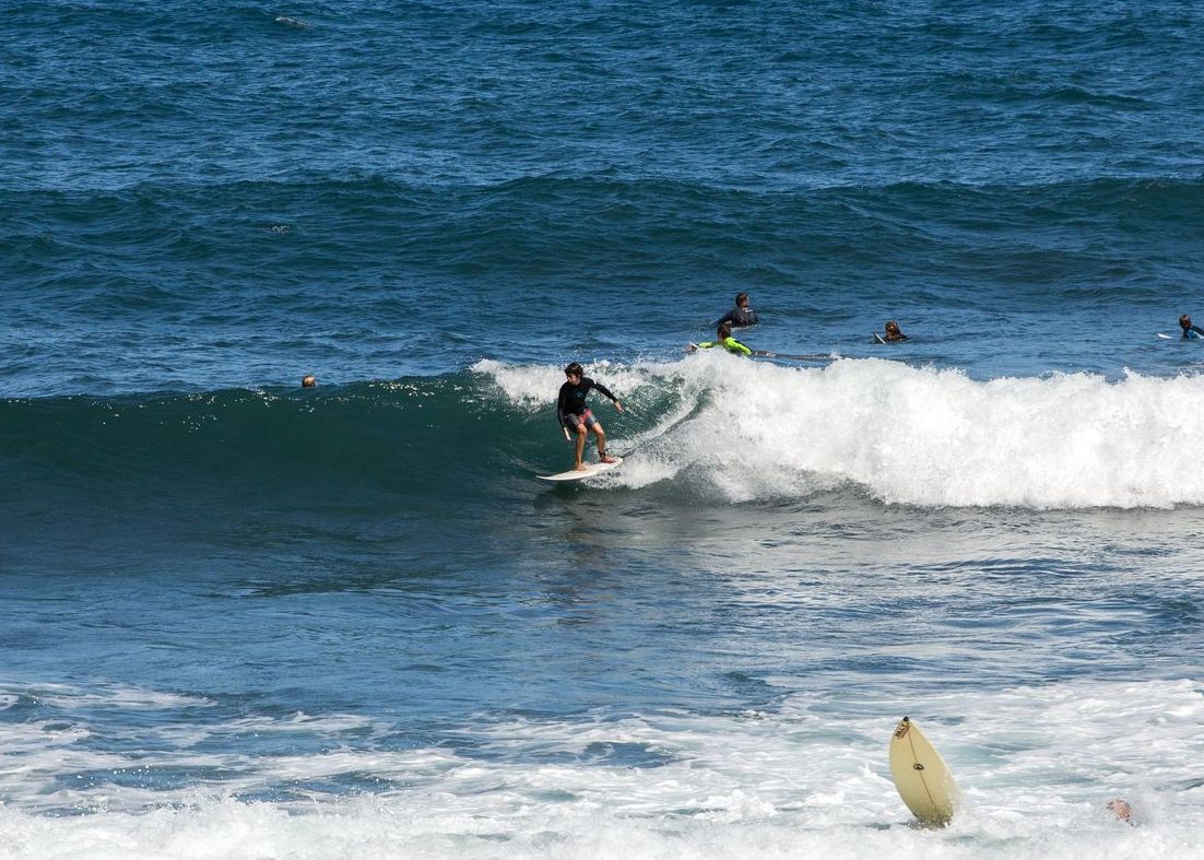 Surfers in Madeira