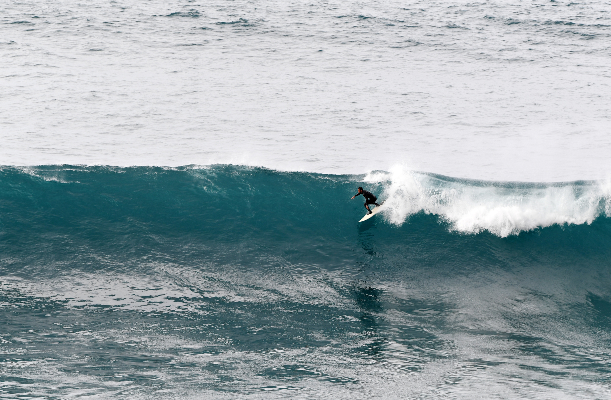 Surfing-the-line-in-Madeira