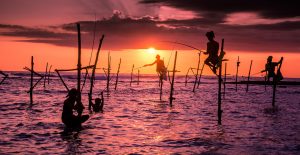 Traditional-stilt-fisherman-in-Sri-Lanka