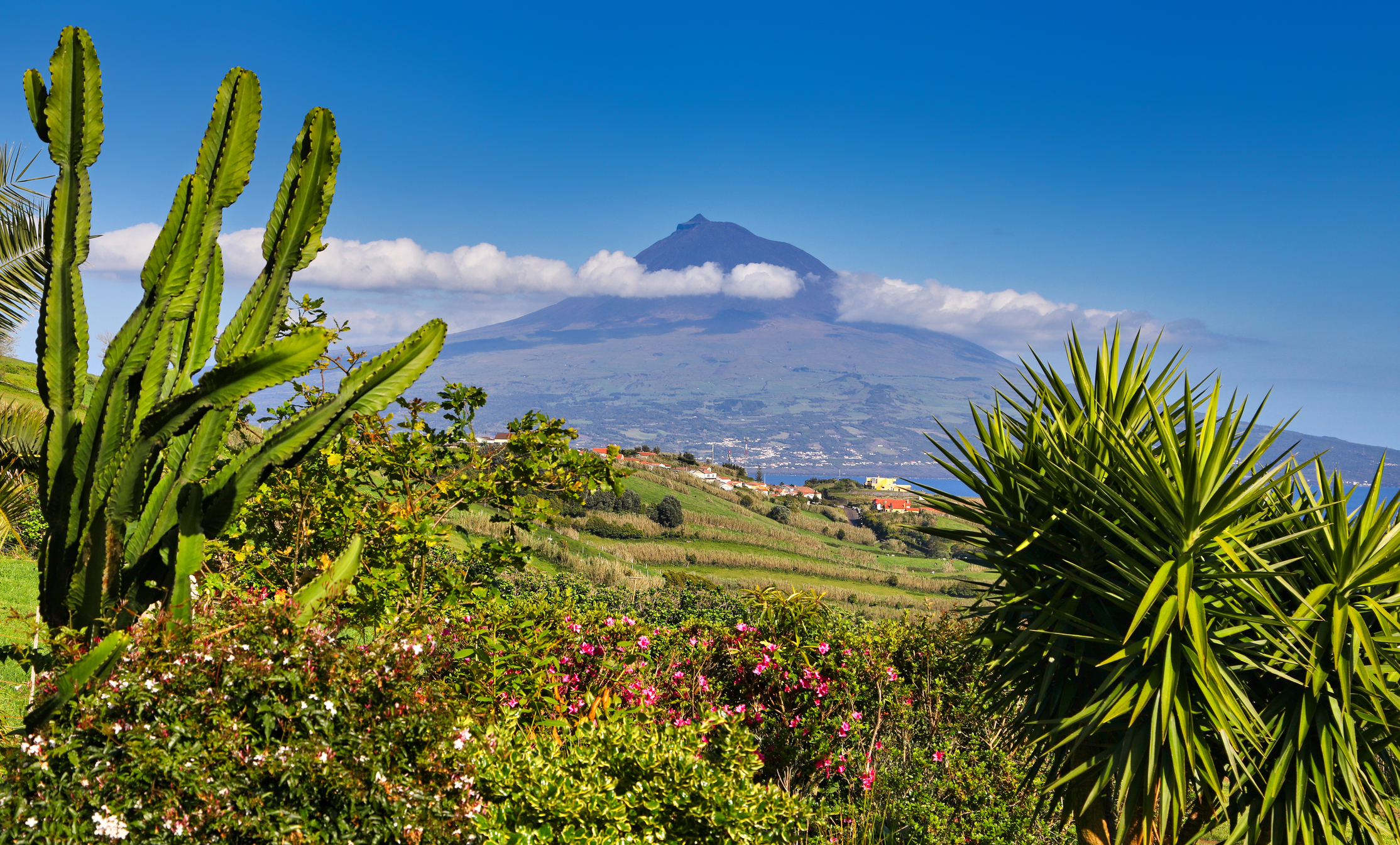 Volcano-Mount-Pico-Azores