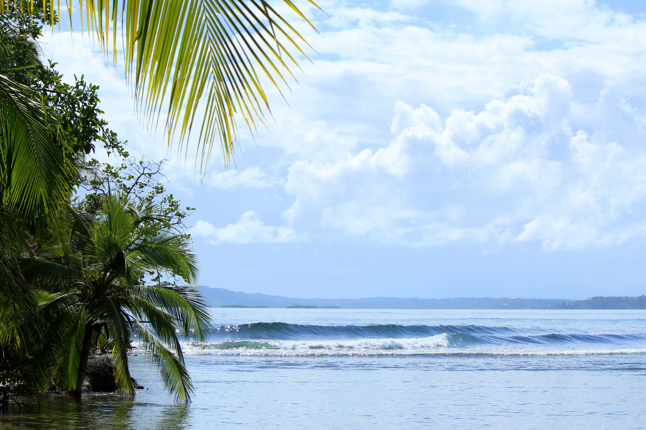 Tropical-Panama-Surf-Beach
